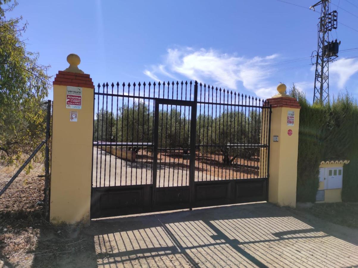 Los Abuelos Setenil De Las Bodegas Esterno foto
