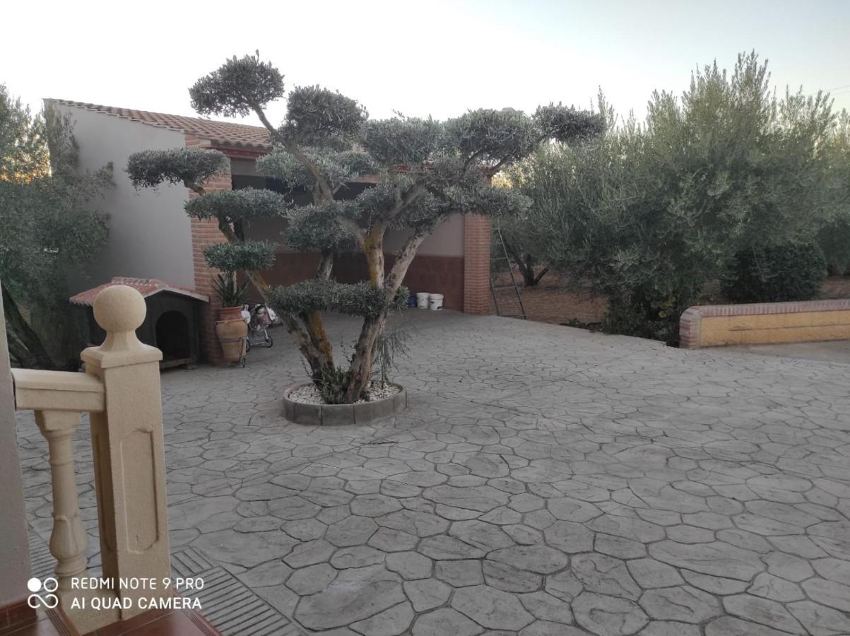 Los Abuelos Setenil De Las Bodegas Esterno foto