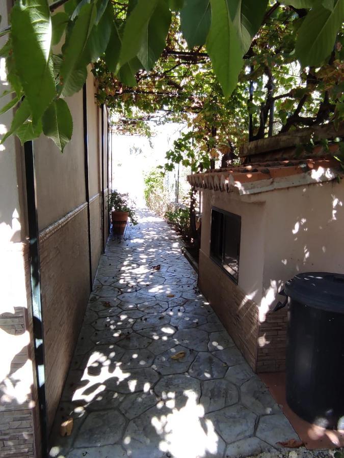 Los Abuelos Setenil De Las Bodegas Esterno foto