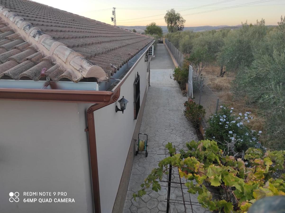 Los Abuelos Setenil De Las Bodegas Esterno foto