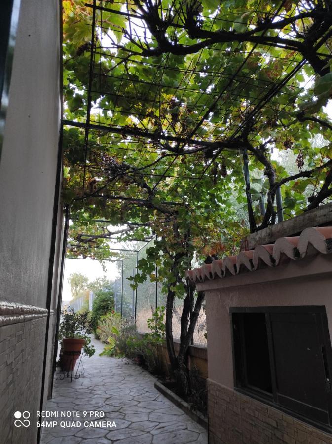 Los Abuelos Setenil De Las Bodegas Esterno foto